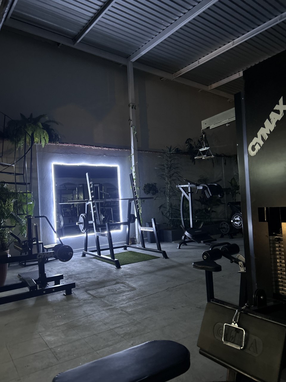 Área de pesas y máquinas de Gym Trasciende en Ocotlán de Morelos