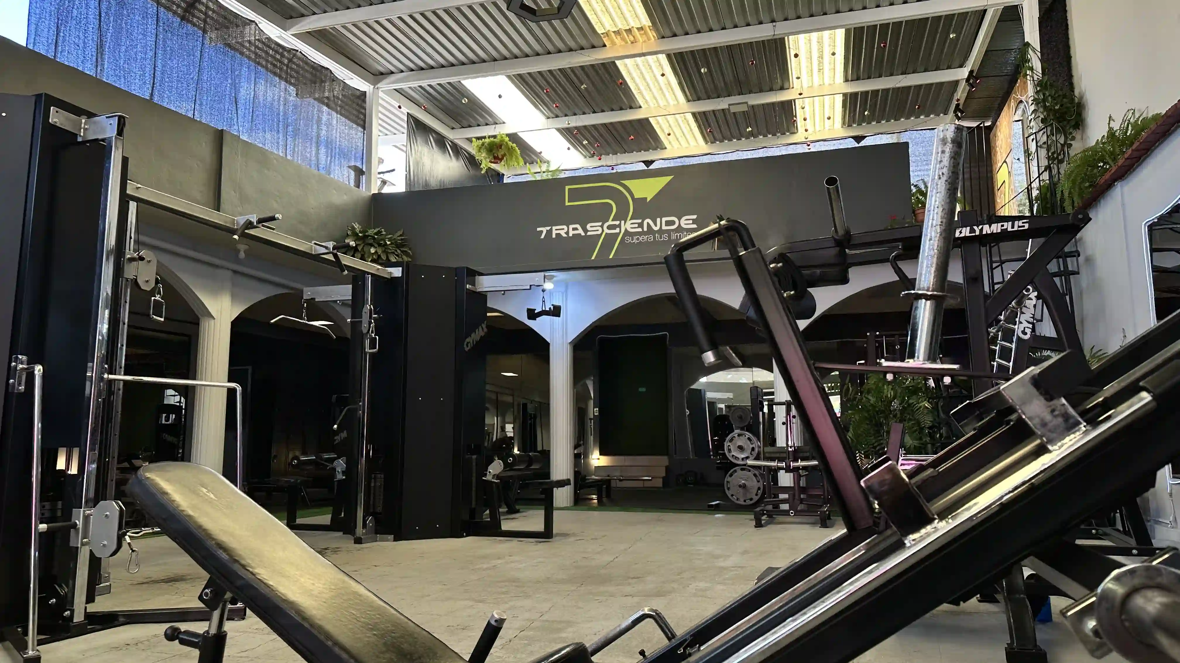 Equipo de pesas libre y mancuernas en Gym Trasciende Ocotlán