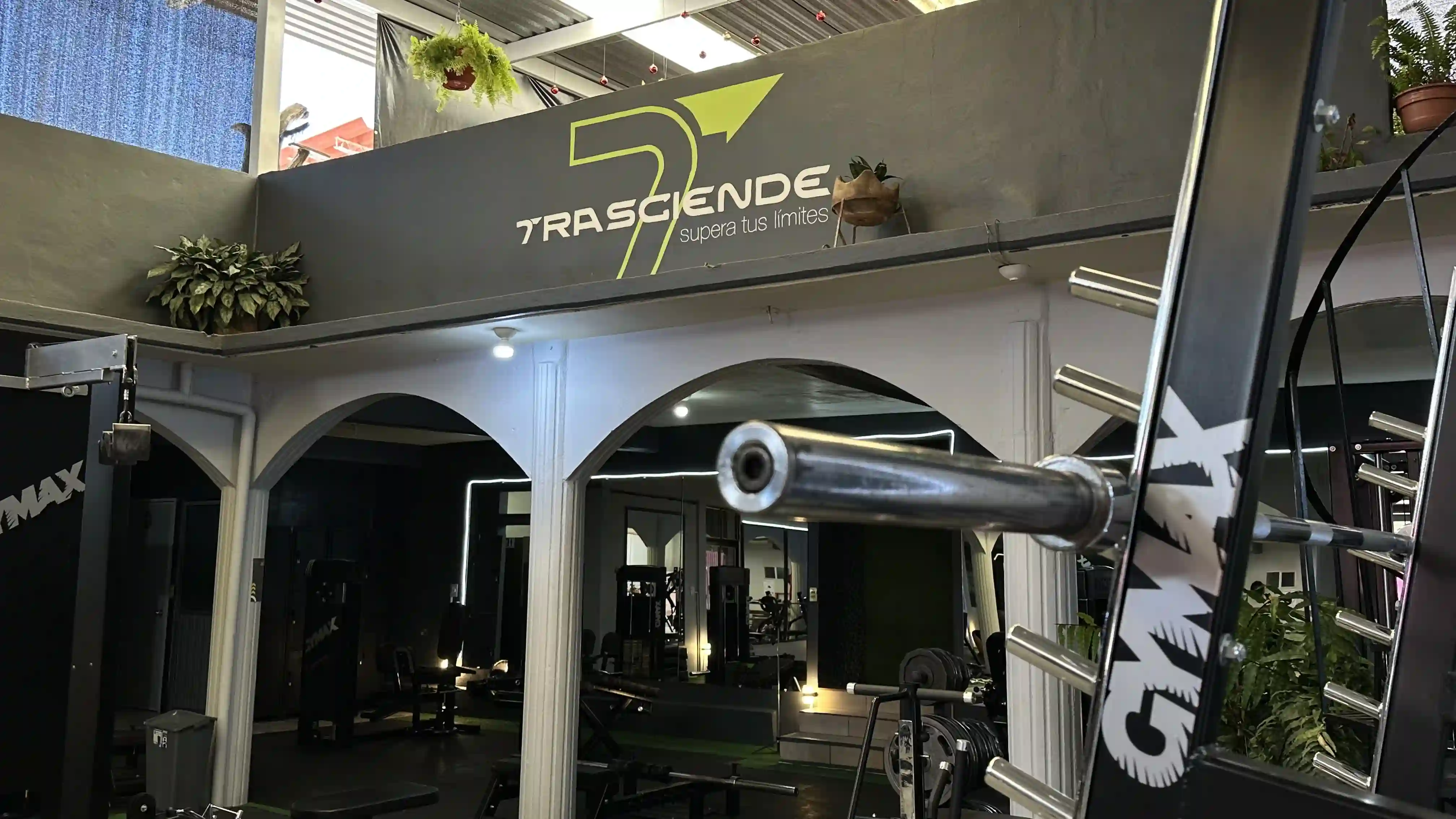 Testimonios de miembros satisfechos de Gym Trasciende